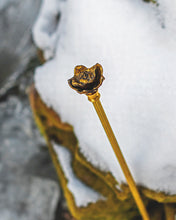 Load image into Gallery viewer, The Somnia Tarot - The Mortem Baton - Somnia Artifacts